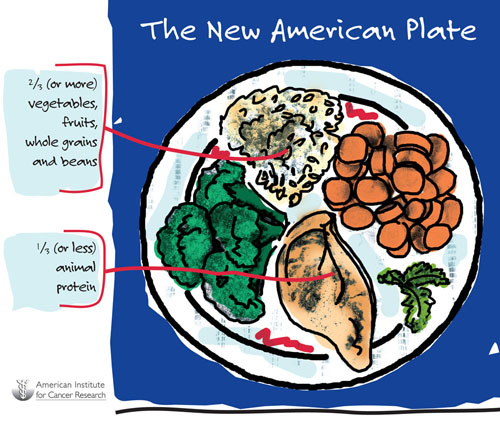 The New American Plate